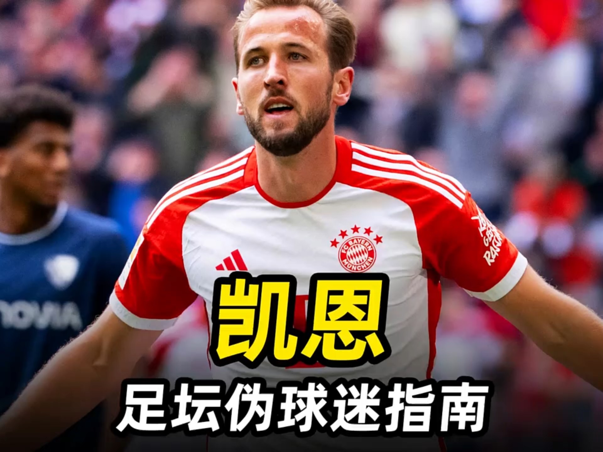 凯恩转会到哪里了